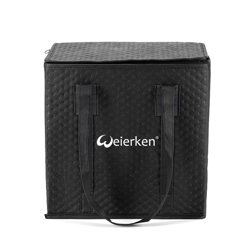 3 Reasons You Should Choose 6-layer Non Woven Cooler Bag For Delivery