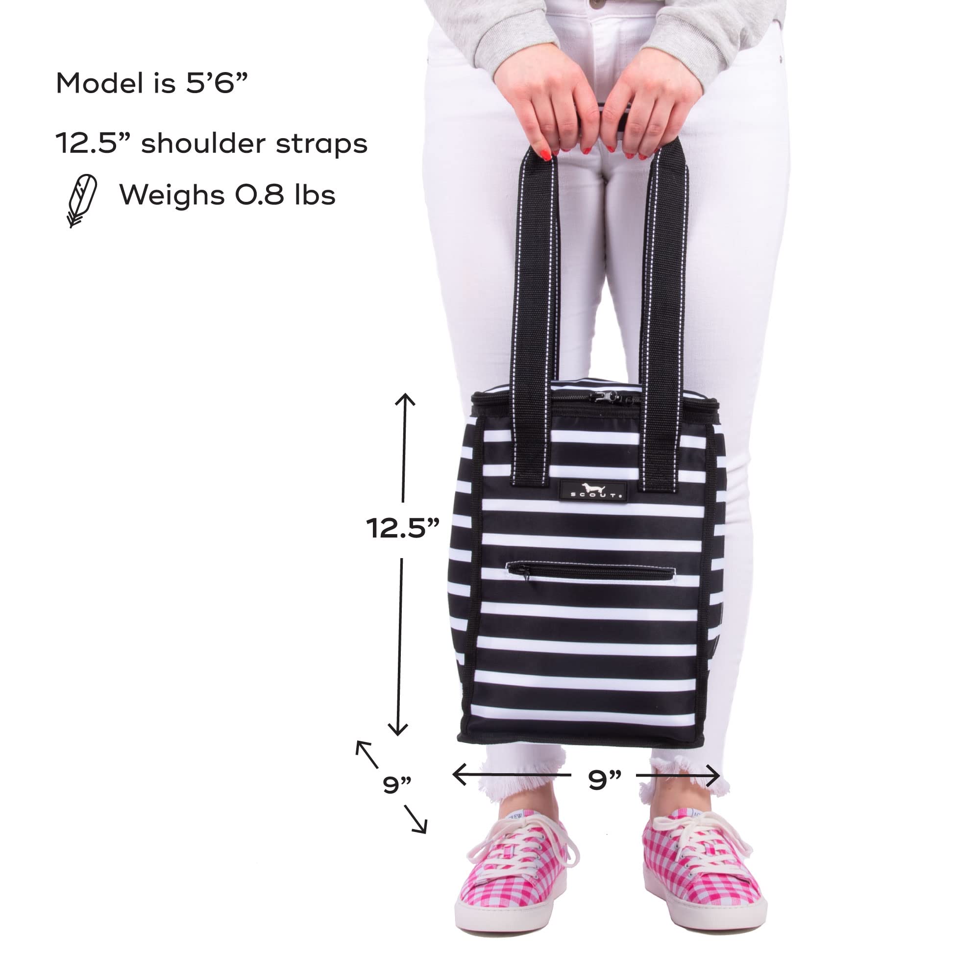 Dual-Compartment Insulated Cooler Bag