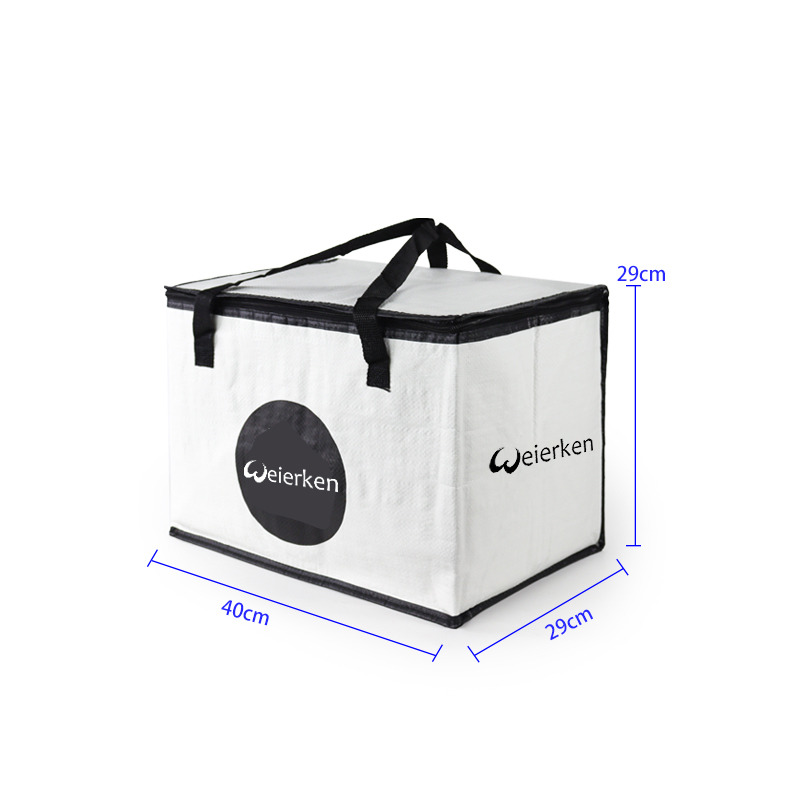 Insulated Tote Bag For Food Main