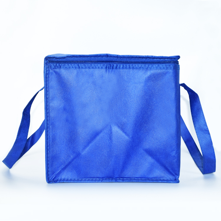 Wholesale Cooler Bags Insulated Bags for Groceries Custom Size