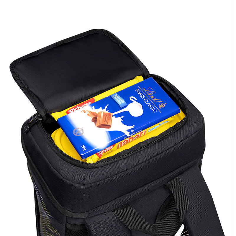 Wholesale 2 in 1 Cooler Backpack