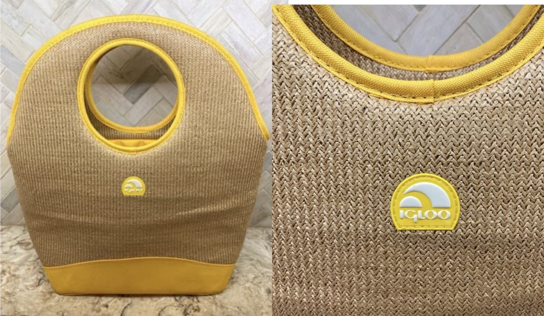 beach cooler bag
